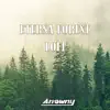 Eterna Forest (From "Pokemon Diamond and Pearl") [Lofi] - Single album lyrics, reviews, download