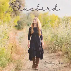 Bluebird Song Lyrics