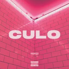 Culo - Single by DrobCEO album reviews, ratings, credits