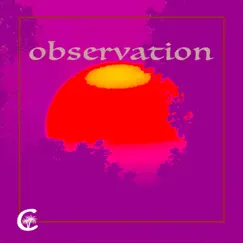 Observation Song Lyrics