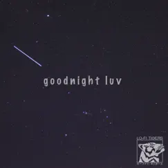 Goodnight Luv - Single by Lo-Fi Tigers album reviews, ratings, credits