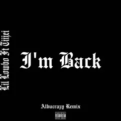 Im Back Albucrazy (feat. TiiJEi) - Single by Lil Lowbo album reviews, ratings, credits
