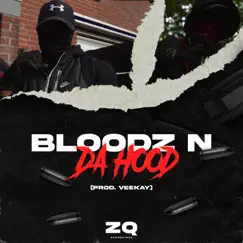 Bloodz N Da Hood - Single by Impy album reviews, ratings, credits