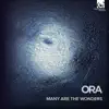 Many are the Wonders album lyrics, reviews, download