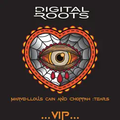 Tears - Single by Marvellous Cain & DJ Choppah album reviews, ratings, credits