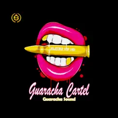 Guaracha Cartel Vol. 1 by Jey Agredo, Guaracha Aleteo Vip & Aleteo Vip HD album reviews, ratings, credits
