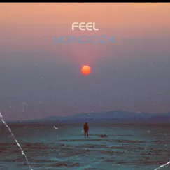 Feel (Radio Edit) Song Lyrics