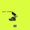 Dior Sneaks - Single album lyrics, reviews, download