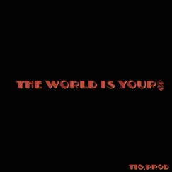 The World Is Your$ Song Lyrics