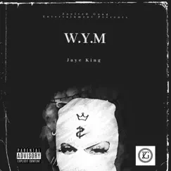 What You Mean - Single by Jaye King album reviews, ratings, credits
