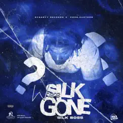 Where Silk Gone - Single by Silk Boss album reviews, ratings, credits