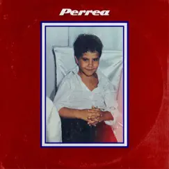 Perrea (feat. Frijo & WE$T DUBAI) Song Lyrics