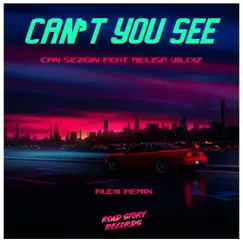 Can't You See (feat. Melisa Yildiz) [Rudii Extended Remix] Song Lyrics