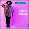 Tribal Punjab - Single album lyrics, reviews, download