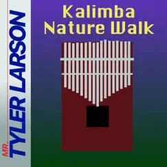 Kalimba Nature Walk (Extended Version) [Extended Version] by Mr. Tyler Larson album reviews, ratings, credits
