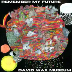 Remember My Future by David Wax Museum album reviews, ratings, credits