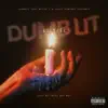 Dumb Lit - Single album lyrics, reviews, download