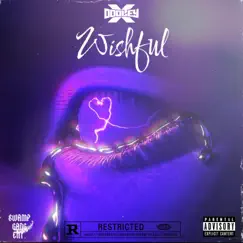 Wishful - Single by Dooley X album reviews, ratings, credits