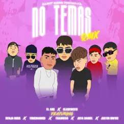 No Temas (feat. Benja Boss, Touchandgo, Franwar, Jota Daniel & Justin Onfire) [Remix] Song Lyrics