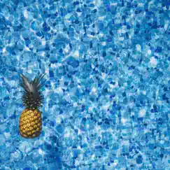 Pineapple - Single by Lofi Gray album reviews, ratings, credits