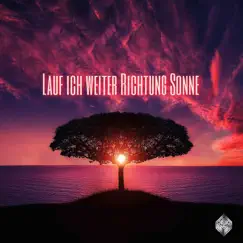 Lauf ich weiter Richtung Sonne Song Lyrics