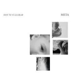 HOY TE VI LLORAR - Single by Meta album reviews, ratings, credits