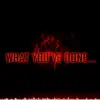 What You've Done (feat. ProLikeThat & reper outlaw) - Single album lyrics, reviews, download