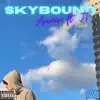 Skybound (feat. JT) - Single album lyrics, reviews, download