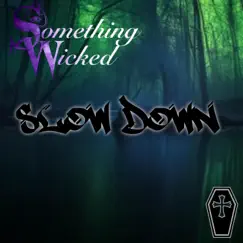 Slow Down (feat. D. Rotten & Euphonic Aspekt) - Single by Something Wicked album reviews, ratings, credits