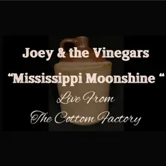 Mississippi Moonshine (feat. Joey & the Vinegars) [Live] Song Lyrics