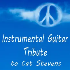 Instrumental Guitar Tribute to Cat Stevens by Steve Petrunak album reviews, ratings, credits
