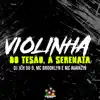Violinha do Tesão, a Serenata - Single album lyrics, reviews, download
