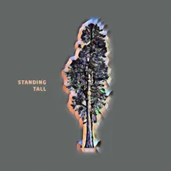 Standing Tall - Single by United Pursuit album reviews, ratings, credits