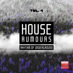 House Rumours, Vol. 4 (Rhythm of Underground) by Various Artists album reviews, ratings, credits