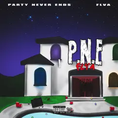 P.N.E - Single by FLVA album reviews, ratings, credits