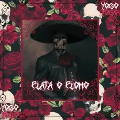 Plata o Plomo - Single by YoGo album reviews, ratings, credits