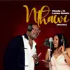 Nthawi (Remix) [feat. Lucius Banda] - Single album lyrics, reviews, download