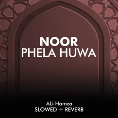 Noor Phela Huwa Lofi - Single by Ali Hamza album reviews, ratings, credits