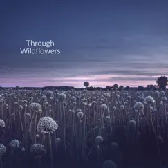 Through Wildflowers Song Lyrics