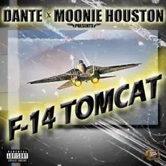 F-14 Tomcat - EP by Te' album reviews, ratings, credits