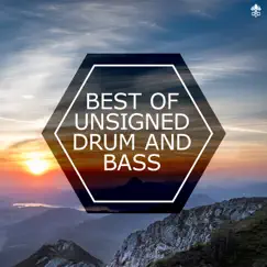 Best of Unsigned Drum and Bass by Various Artists album reviews, ratings, credits