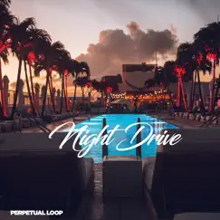 Night Drive - Single by Perpetual Loop album reviews, ratings, credits