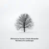 Remains of a Landscape (feat. Orsós Alexander) album lyrics, reviews, download