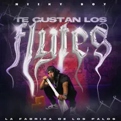 TE GUSTAN LOS FLYTES Song Lyrics