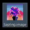 Sapling.Image album lyrics, reviews, download