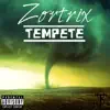 Tempête - Single album lyrics, reviews, download