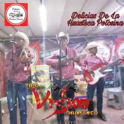 En Delicias de la Huasteca Potosina by Trío Visión Huasteco album reviews, ratings, credits