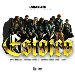 Estóico (feat. Suley Veryda, Vulgo PP, Cozzy 2x, Roooute, Kiky Young Flame, Turko & LVINBEATS) - Single by BVDZRECORDS album reviews, ratings, credits