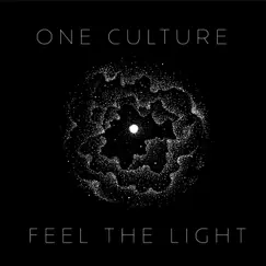 Feel the Light - Single by One Culture album reviews, ratings, credits