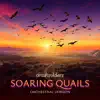 Soaring Quails (Orchestral Version) - Single album lyrics, reviews, download